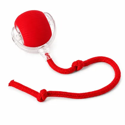 Pelota Interactiva con Cuerda para Mascota Roja