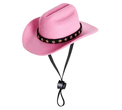 Sombrero Vaquero Para Mascotas Chico Rosa